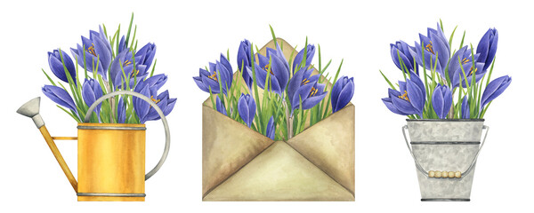 Collection of spring floral illustrations with purple crocuses. Watercolor vintage garden illustrations on white background. Bouquets of crocuses in a watering can, bucket and envelope © Катерина Тышковская