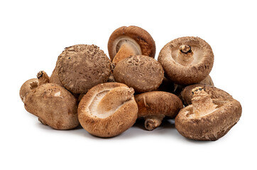 Shiitake mushroom on the White background