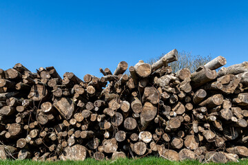 A pile of logs at the edge of farmland on a sunny day