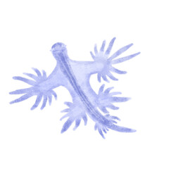 watercolor sea slug - obrazy, fototapety, plakaty