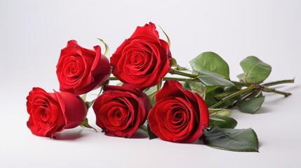Beautiful bouquet of red roses against a white background