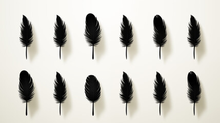 Bird feather icons on white background 
