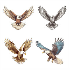 set of flying eagle character