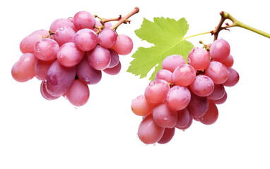 Fototapeta premium Admire and Savor the Juicy Brilliance of Grape Gemstones Straight from the Vine on a White or Clear Surface PNG Transparent Background.