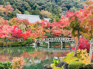 Japanese garden with pond and bridge in autumn, Kyoto, Japan.