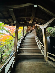 Wooden stairs to the temple in autumn season, Kyoto, Japan