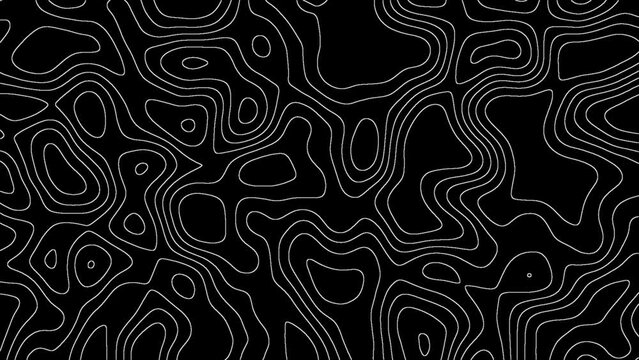 Animated wavy line motion graphic background. Seamless looped Abstract motion graphic, Abstract moving topographic map lines. Moving wavy line striped pattern black color background.