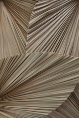 Closeup view of dried palm leaves layout for a backdrop