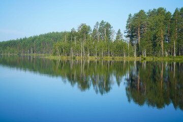 Beautiful forest lake. Panoramic view, landscape. forest reflecting on calm lake.