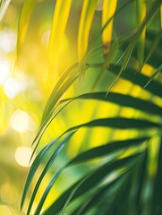 blurred palm leaf background with close-up of a palm frond arch in sunlight, tropical vegetation background - generative ai