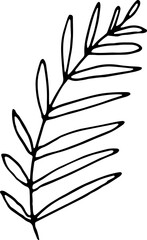 Floral Botanical Line Art Illustration