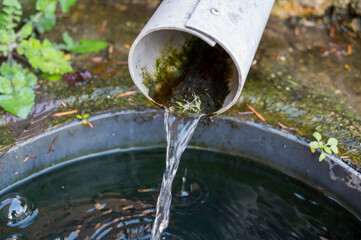 Modified natural spring. Water flows out of the felt pipe.