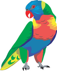Coconut lorikeet - vector illustration