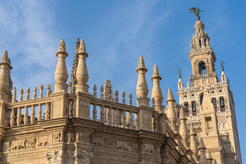 Fototapeta na wymiar The Seville cathedral