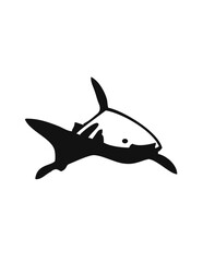 illustration of a shark