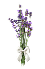 Bouquet of purple lavender flower, tied with a white bow. Bunch of fresh lavandula flowers. Isolated on white background
