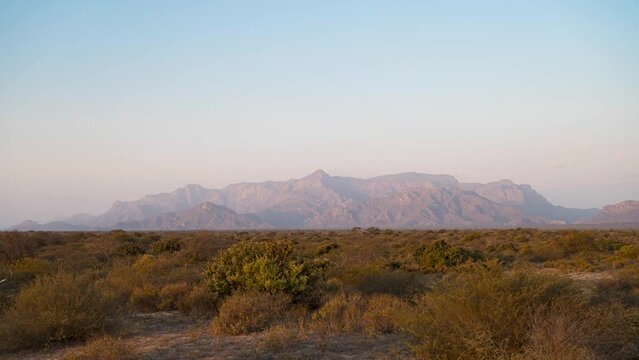 Timelapse of color change at sunset in the dry forest of Peru.