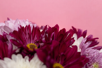 close-up of a bouquet of pink white flowers against a pink background