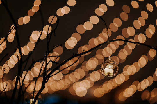 twinkle lights and candles hanging from branches light up a cozy scene