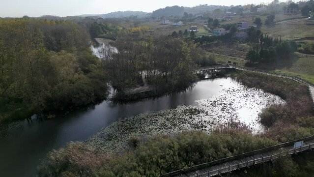 Acarlar Longozu Aerial Landscape Aerial View