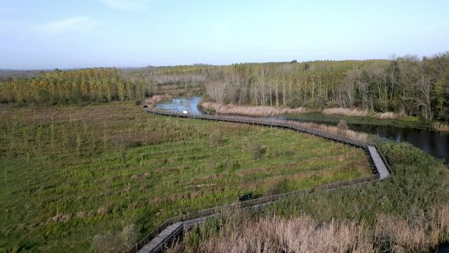Acarlar Longozu Aerial Landscape Aerial View