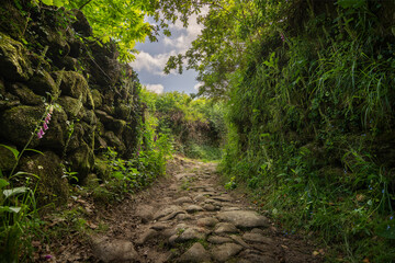 Peaceful dirt path through stone walls and vibrant flowers