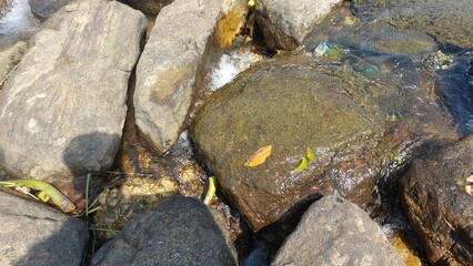 natural scenery, river, water, sunrise, nature, waterfalls, mountain, trees, hills, green