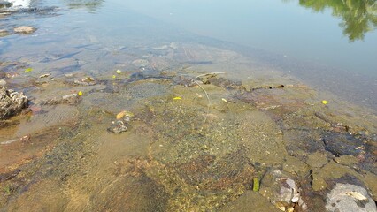 natural scenery, river, water, sunrise, nature, waterfalls, mountain, trees, hills, green