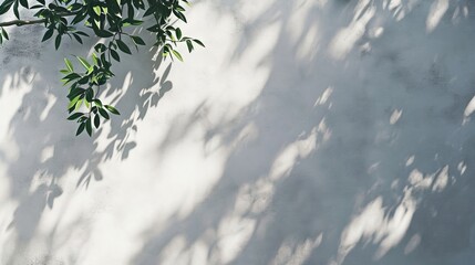 Enhance product presentation with the shadow of tree branches and leaves on a white concrete wall, illuminated by sunlight, creating a sunny day scene, Ai Generated.