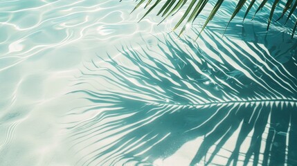 Fototapeta na wymiar leaf shadow on a water surface, showcasing palm leaves' shadows on a white sand beach for a beautiful abstract background concept banner, Ai Generated.