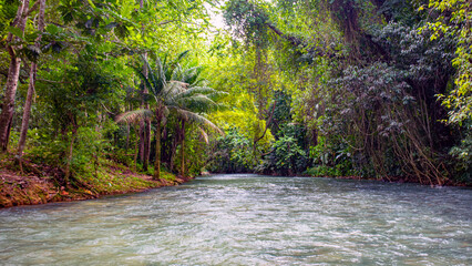jamaica landscape in carribean sea and wild nature