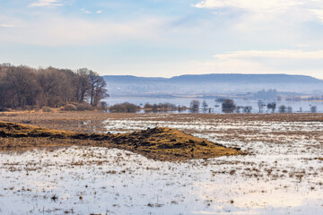 Landscape view at a flooded meadow in springtime
