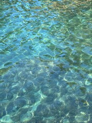 Blue turquoise sea water with seaweed