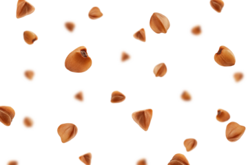 Falling Buckwheat isolated on white background, selective focus