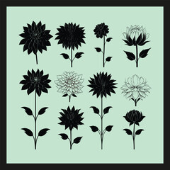 Dahlia flower silhouette set