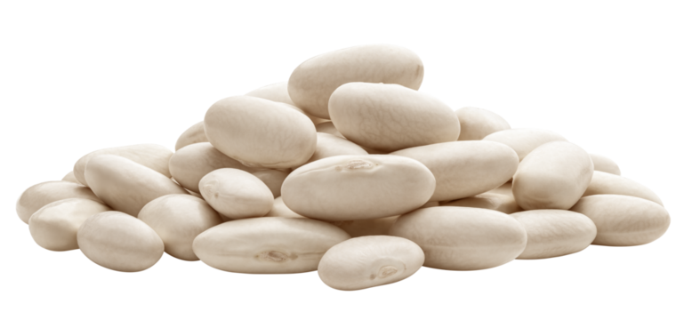white Kidney beans, isolated on white background, full depth of field