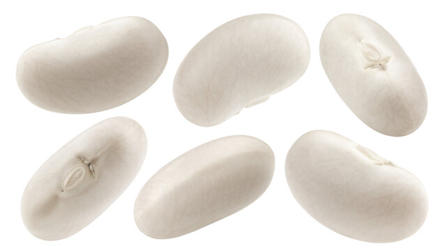 white Kidney beans, isolated on white background, full depth of field