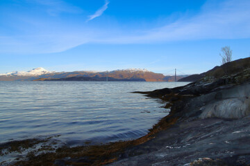 landscape with a big cable stayed bridge and mountains in the background