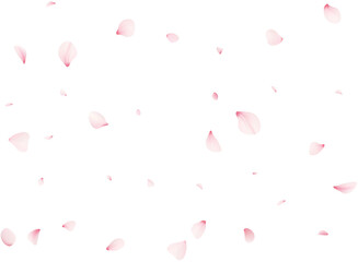 Falling Sakura Petals