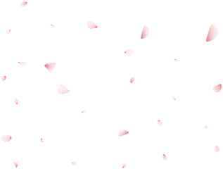 Falling Sakura Petals