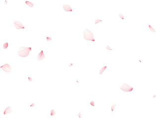 Falling Cherrty Petals