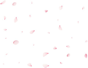 Falling Sakura Petals