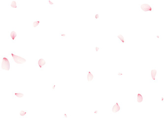 Falling Sakura Petals