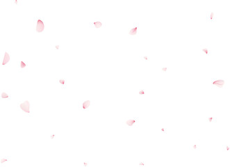 Falling Sakura Petals