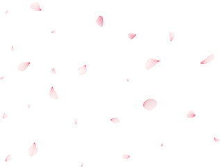 Falling Sakura Petals