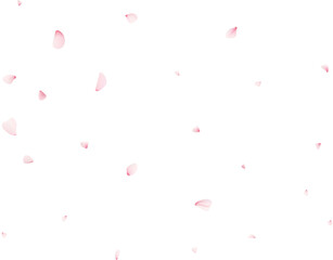 Falling Sakura Petals