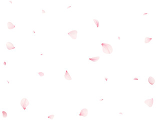 Falling Sakura Petals