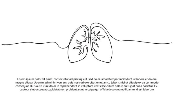 Continuous line design of lungs symbol. Single line decorative elements drawn on a white background.