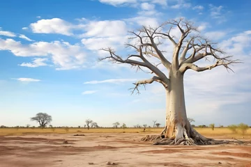 Deurstickers baobab tree with thick trunk on a dry savannah © altitudevisual