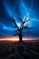 Electric skies: Lightning flashes behind a stark bare tree, a captivating dance of nature's power and solitude.